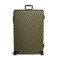 147679 - OLIVE