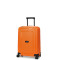 49539 - APRICOT.