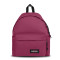 EK000620 - WINE BURGUNDY
