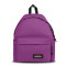 EK000620 - FIG PURPLE