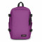 EK0A5BKD - FIG PURPLE