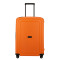 49307 - APRICOT.