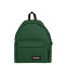 EK000620 - 5V4 BRISTLE GREEN