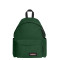 EK0A5BG4 - 5V4 BRISTLE GREEN