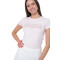 W5GI04 J1314 - ROSE PALE
