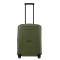 49539 - OLIVE