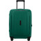 158554 - ALPINE GREEN