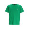 50469062 - VERT