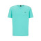 50469062 - TURQUOISE