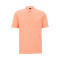 50486614 - ORANGE PASTEL