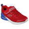 MICROSPEC MAX-GORVIX - ROUGE/BLE