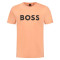 50481923 - ORANGE PASTEL