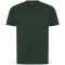 50468395 - VERT FONCÉ