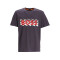 50495719 - GRIS FONCÉ