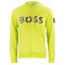 50489152 - VERT CITRON