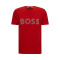 50495719 - ROUGE
