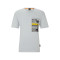 50495741 - GRIS PASTEL