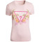 W3GI41 J1314 - ROSE PALE