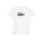 TH2042-00 - BLANC/VERT