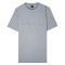 50506363 - GRIS