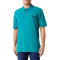 50501784 - VERT FONCÉ